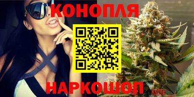стафф Обь