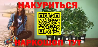 стафф Обь