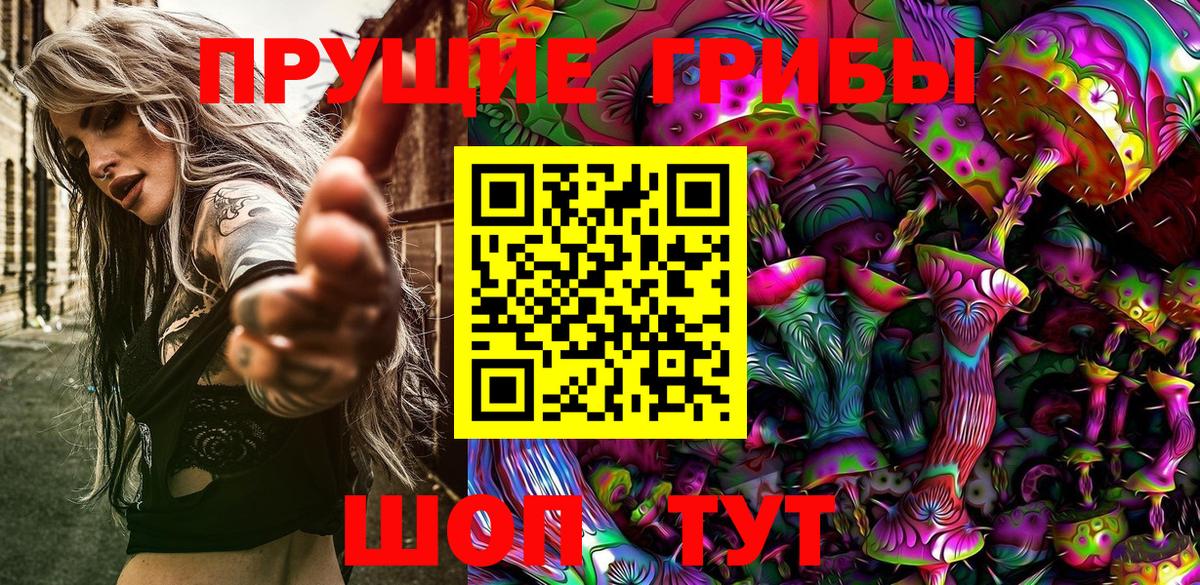 Псилоцибиновые грибы Psilocybine cubensis Троицк